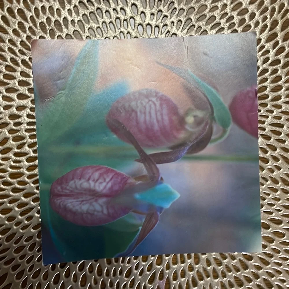 Collectible Antique Vintage. 2005 Orchids Postcard.
